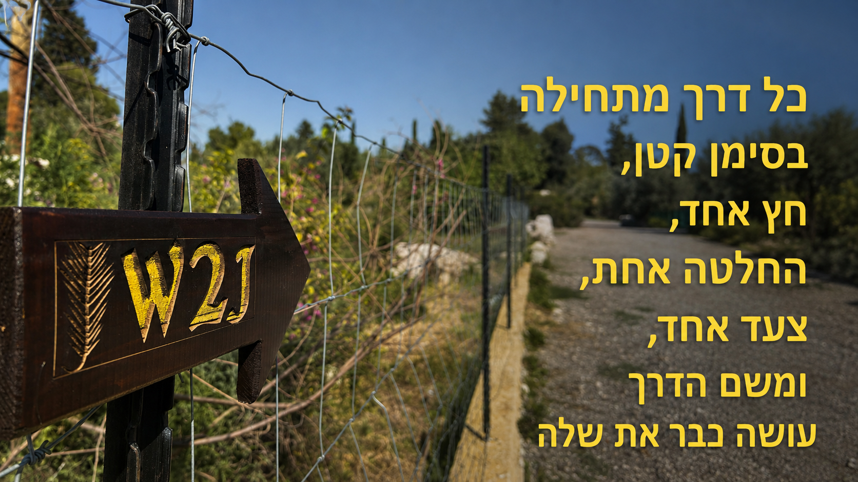 כל דרך מתחילה בסימן קטן — חץ אחד, החלטה אחת, צעד אחד